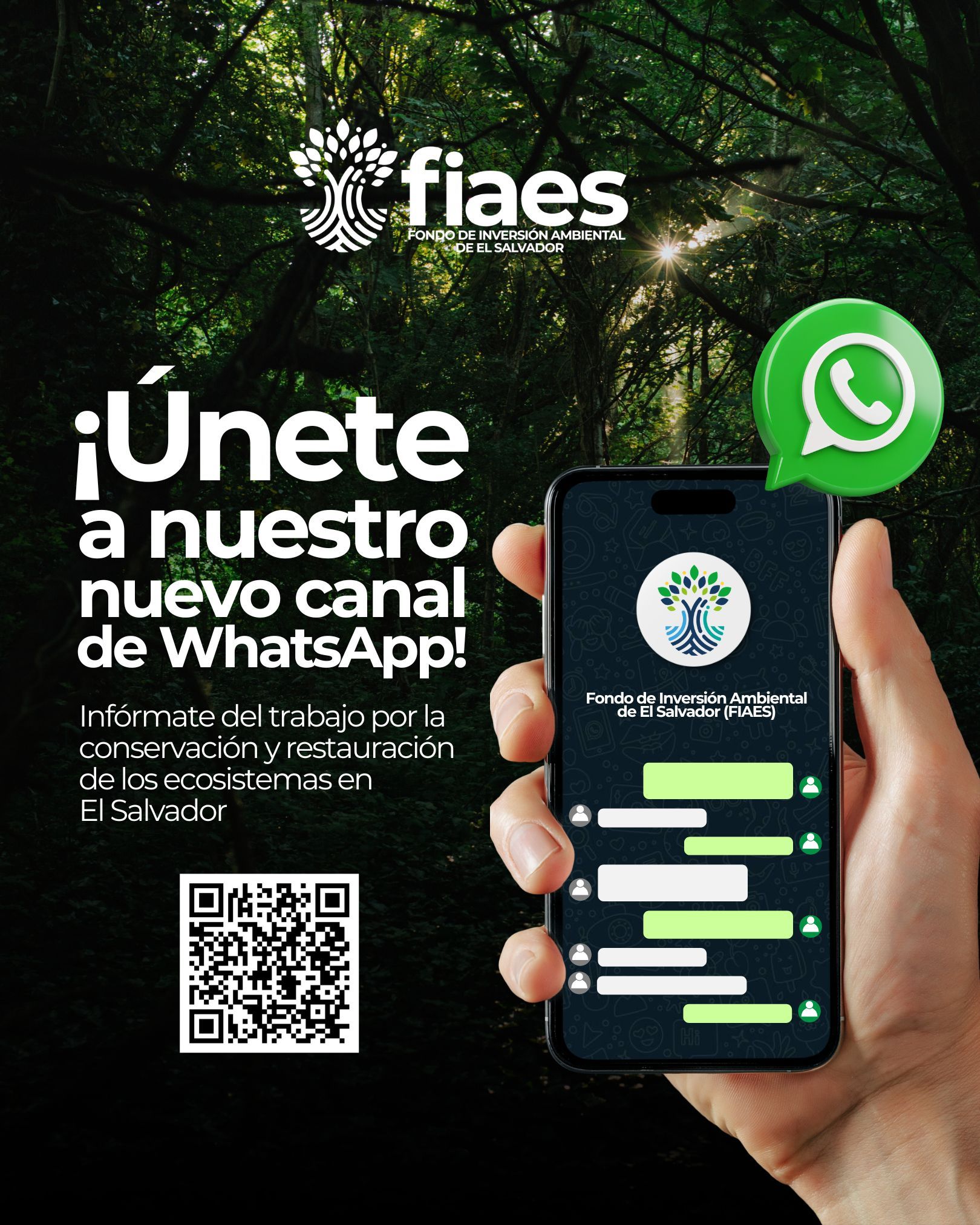 Odoo • Text and Image